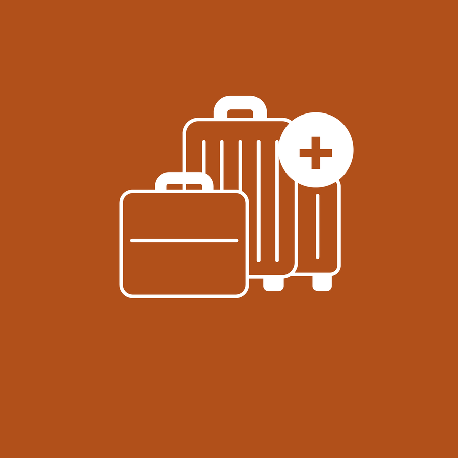 The image shows a white icon of three pieces of luggage centered on a solid burnt orange background. There are two upright wheeled suitcases and one smaller briefcase or handbag in the foreground. A circular icon with a plus sign is positioned near the top right of the suitcases, suggesting the concept of adding baggage or luggage.